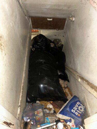 Shadyside Couple Faces Charges After 4 Children, 38 Cats Removed From Their Home